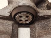 Bremssattel hinten