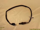 Lambda probe sensor