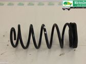 Rear coil spring
