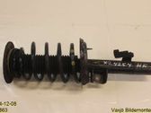 Front shock absorber with coil spring