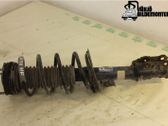 Front shock absorber with coil spring