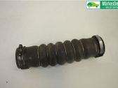 Manguera/tubo del intercooler