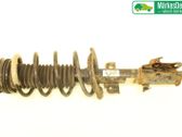 Front shock absorber with coil spring