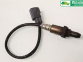 Sonde lambda