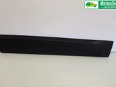 Front door trim (molding)