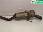 Filtro de partículas del catalizador/FAP/DPF