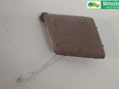 Engine bonnet/hood lock trim molding