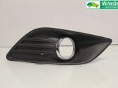 Front fog light trim/grill