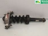 Rear shock absorber/damper