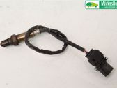 Sonde lambda