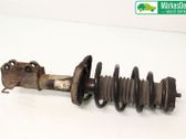 Front shock absorber with coil spring