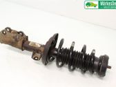 Front shock absorber with coil spring