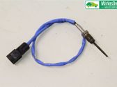 Abgastemperatursensor