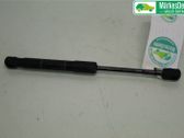 Jambe de force de hayon