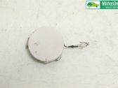 Engine bonnet/hood lock trim molding