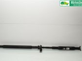 Drive shaft (set)