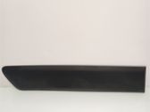 Rear door trim (molding)