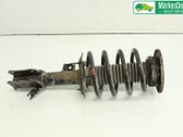 Front shock absorber with coil spring