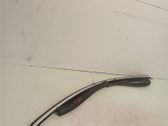 Front door trim (molding)