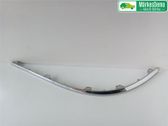 Moldura embellecedora de la barra del amortiguador trasero