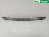 Front bumper upper radiator grill
