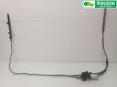 Tailgate/trunk strut/damper