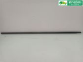 Rear door trim (molding)