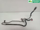 Power steering hose/pipe/line