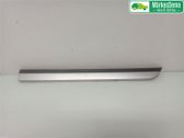 Rear door trim (molding)