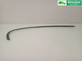 Rear door trim (molding)