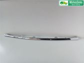 Moldura embellecedora de la barra del amortiguador trasero