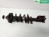 Front shock absorber with coil spring