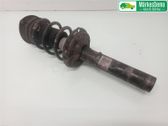 Front shock absorber with coil spring
