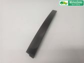 Rear door trim (molding)