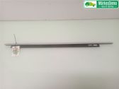 Listón embellecedor de la puerta delantera (moldura)