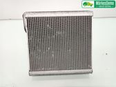 Heater blower radiator