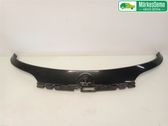 Tailgate/trunk/boot exterior handle