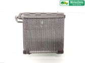 Heater blower radiator