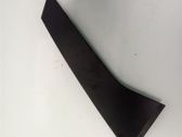 Rear door trim (molding)
