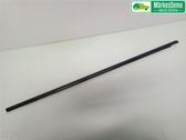 Rear door trim (molding)