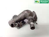 Thermostat/thermostat housing