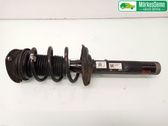 Front shock absorber with coil spring