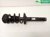 Front shock absorber with coil spring