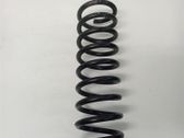 Rear coil spring