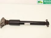 Rear shock absorber/damper