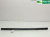 Listón embellecedor de la puerta delantera (moldura)