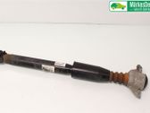 Rear shock absorber/damper