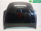 Engine bonnet/hood