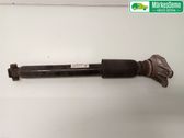 Rear shock absorber/damper