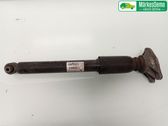 Rear shock absorber/damper